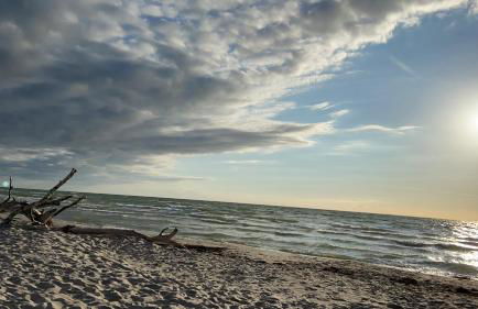 Fewo unweit Warnemünde Sobierajczyk in Markgrafenheide - Foto 37