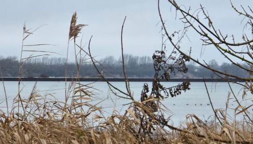 Ferienwohnung Feldblick - Foto 3