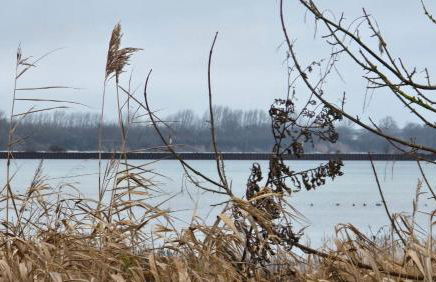 Ferienwohnung Feldblick - Foto 3