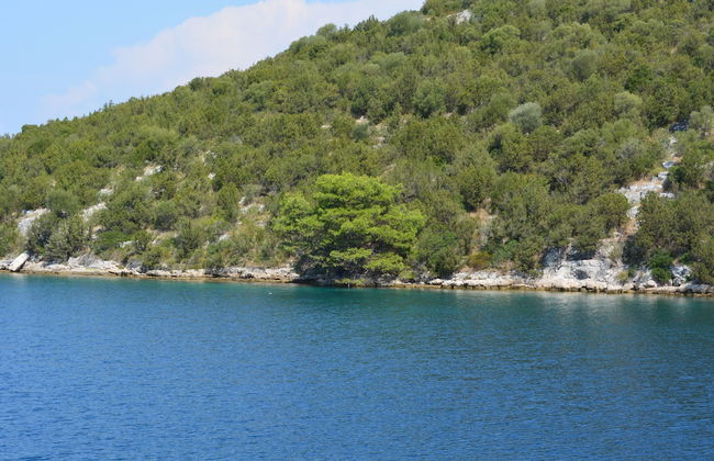 Cosy Apartment, sea View, Long Island, Croatia - Foto 5