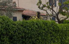 Chez Pascaline - Foto 6