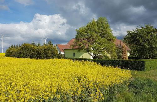 Ferienhaus Uckermark - Photo 19