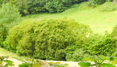 The Beech Hut - Peaceful countryside retreat - Foto 4, Garden view