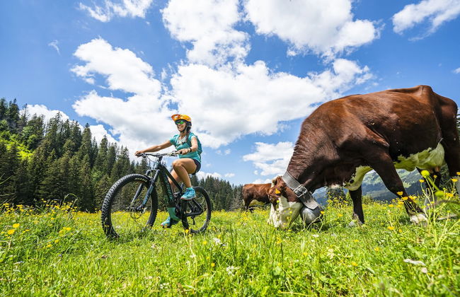 Châtel Réservation - Foto 46
