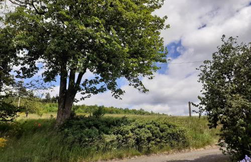 Ferienwohnung Rothaargebirge - Foto 32