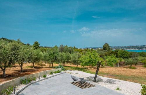 Orange Tree - Foto 33