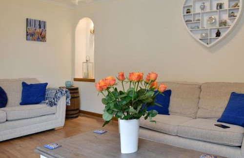 Cotton Shore - Foto 2