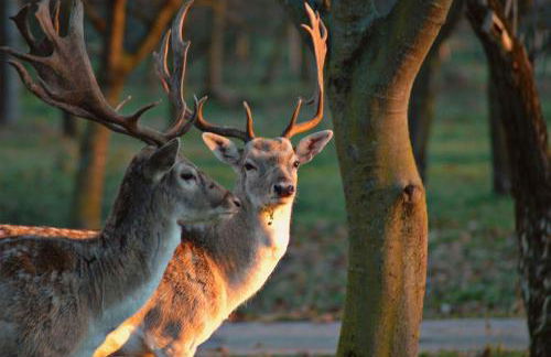Agriturismo I Leprotti - Photo 52