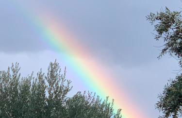 Casa 1-Quinta dos Penedos - Foto 48