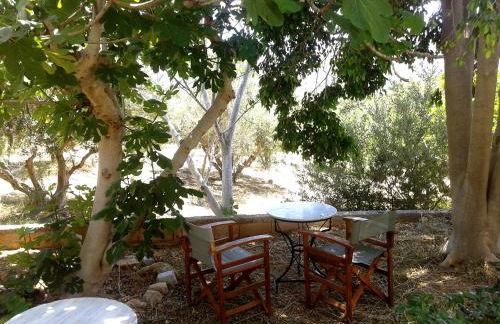 Sunrise Apartments - Photo 42