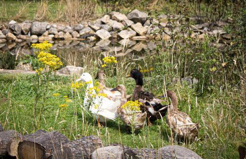 Home Farm & Lodge - Foto 41