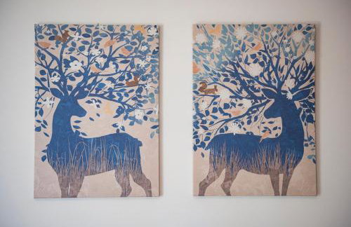 Studio Kalogridis - Foto 9