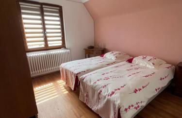 Le Cerisier - Route des vins - Parking et terrasse avec vue sur montagnes et vignoble - Foto 13