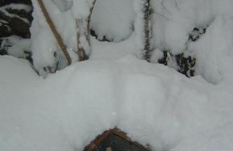 Residence Cavallino - Foto 17