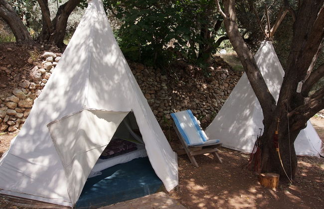 Shiva Camp - Foto 17