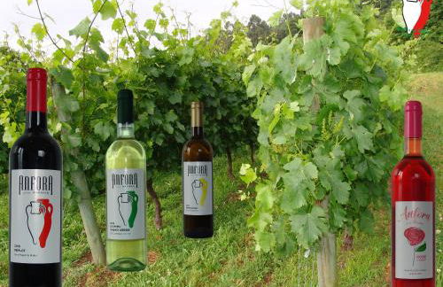 Quinta de Santa Marinha - Foto 7