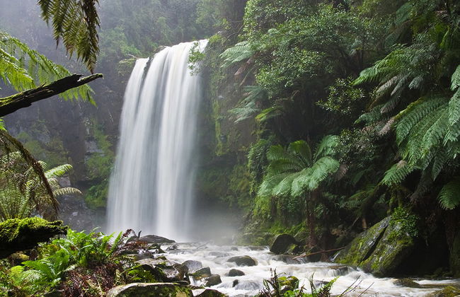 Cachoeiras da Amazônia - Foto 1