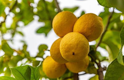 KrinesGReece - Foto 42