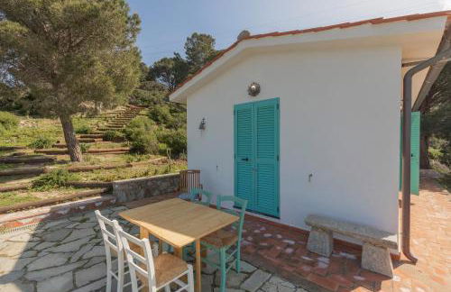 Appartamento la Lucciola - HelloElba - Foto 5