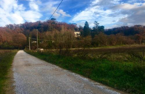 Villa Baronzola - Foto 51