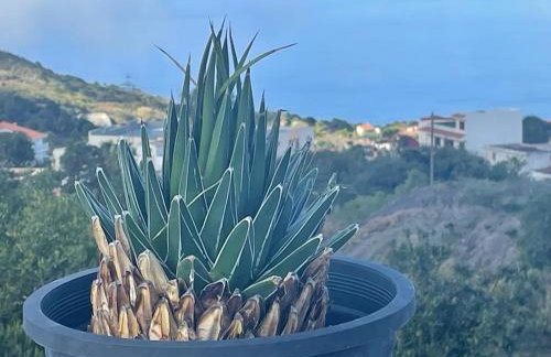 La Casa de Mami - Foto 2