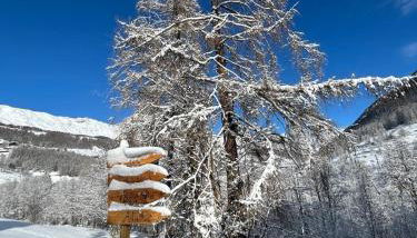 Grande Maison Du Coeur Champoluc Spa,Gym e Aree Relax - Foto 2