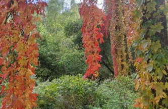 Holiday Home Itzinger by Interhome - Foto 27