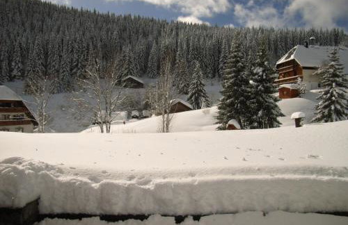 Schwarzwald-Hotel Kraeutle - Foto 64
