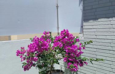 Roque`s House A - Foto 7