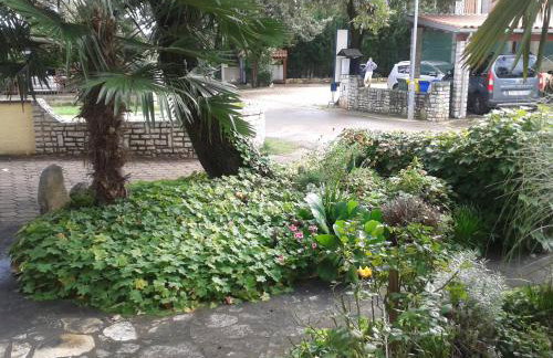 Apartments Barbara - Foto 7