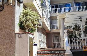 Agata Sea Horse - Foto 22