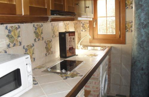 El Corralico del Moncayo - Photo 28