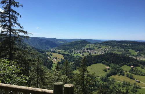 Charme et quiétude au cœur du Haut-Jura - Foto 38