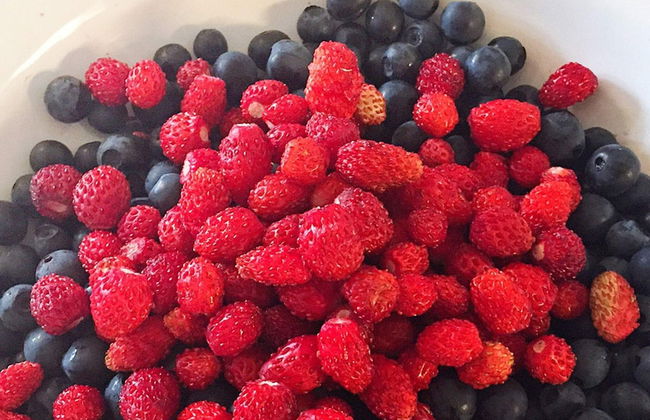 6 Person Holiday Home in Asenfjord-by Traum - Photo 21