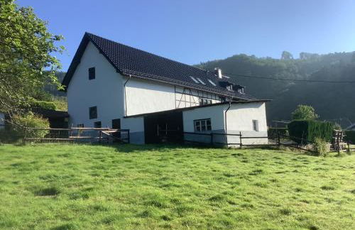 Berg Blick Eifler Bauernhaus modern restauriert - Photo 12