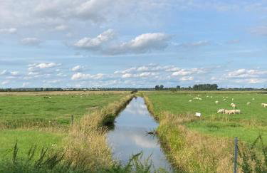 Zum Eulennest - Foto 30