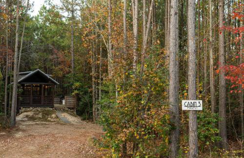 Firefly at Mentone with Hot Tub & Internet - Foto 33