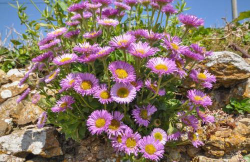 Cliff Farm No 2 Cottage - Foto 22