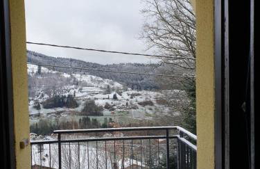 Maison vosgienne proche de la Bresse et Gerardmer - Foto 23