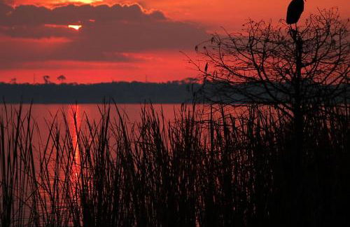 The Well #207 - Foto 9