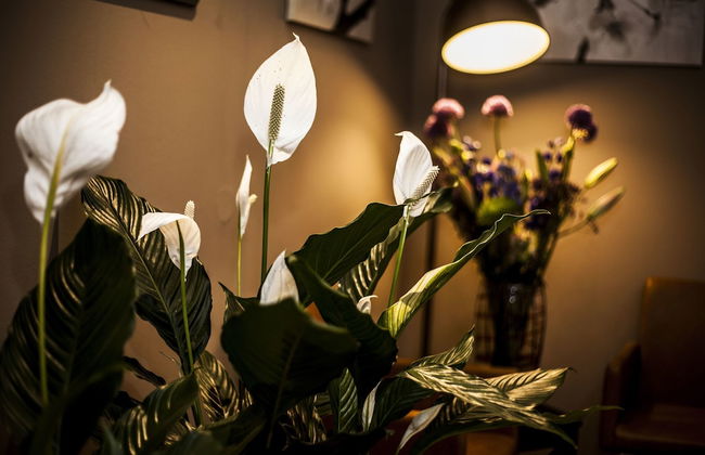 Relaxed Slapen - Foto 58