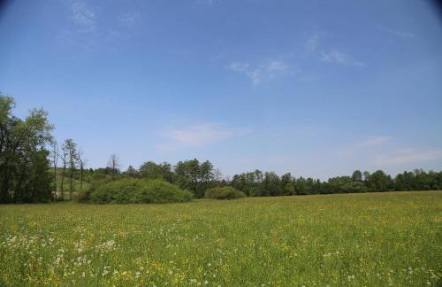 Gospodarstwo Agroturystyczne Stary Młyn Wilczkowice - Foto 30
