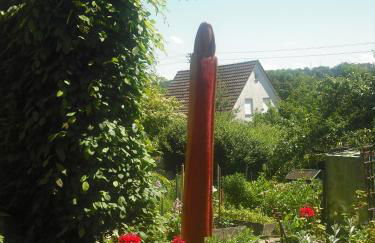 Freilandhof - Foto 11