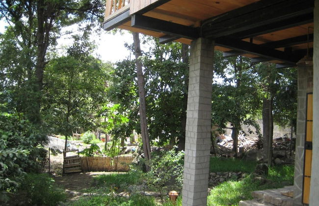 Tzikin Jaay - Foto 17