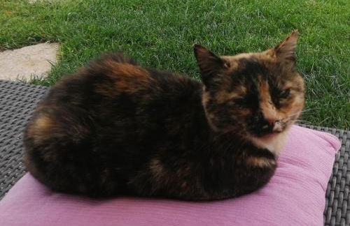 Dependance Pavoncella - Foto 31