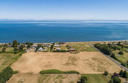 SQ The-Crab-Shack - Foto 21