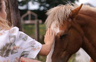 Krovacja - całoroczne domki w Puszczy Noteckiej - Foto 64