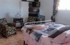 Cortijo Baul - Photo 6