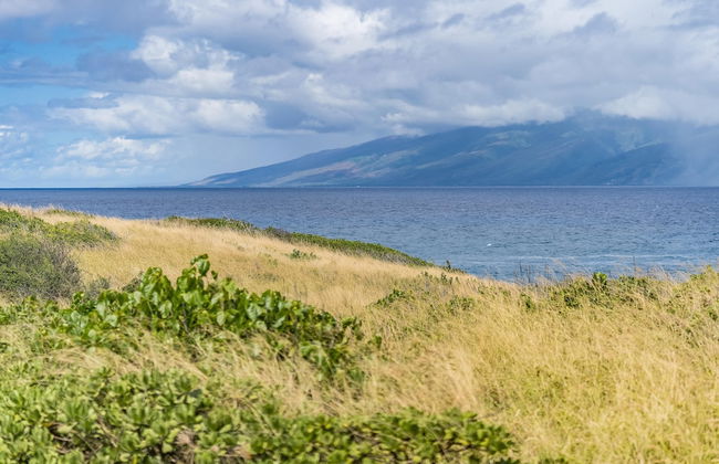 Kapalua Bay Villas 36g5 - Photo 25