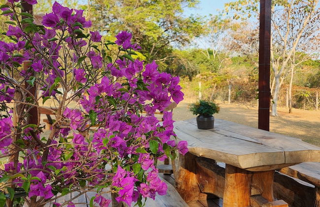 Nativos de Minas - Photo 24